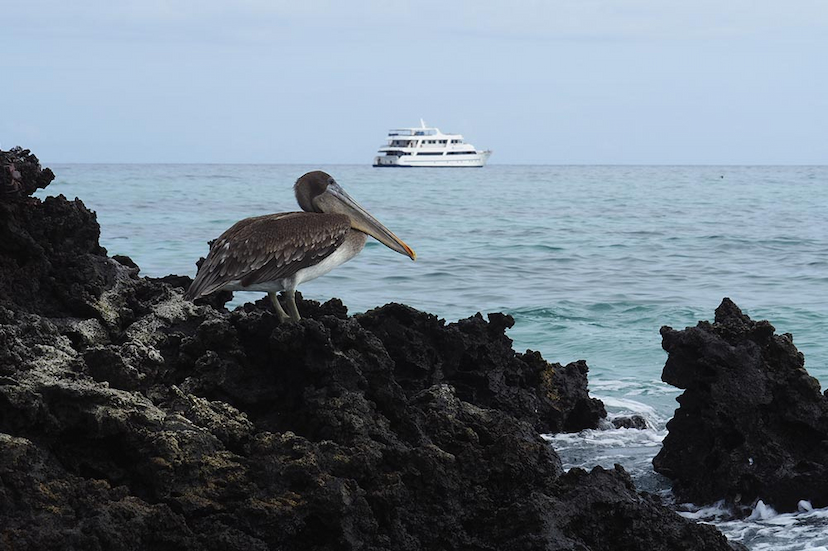 Galapagos Islands - Eden yacht cruises, Island information