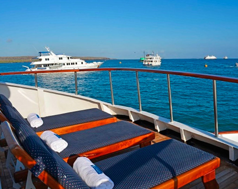 Eden Yacht is the best option to explore the Galapagos Islands